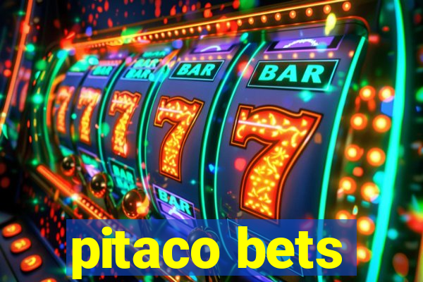 pitaco bets